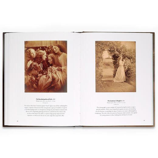 Julia Margaret Cameron - Arresting Beauty